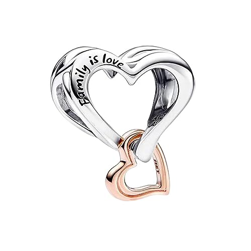 Annmors 925 Sterling Silber Bead Charms für Europäische Armbänder und Halskette Family is Love Perlen mit 5A Zirkonia,Weihnachten, Valentinstag, Muttertag, Geschenkanhänger für Frauen und Mädchen von Annmors