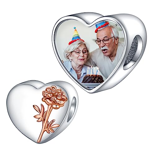 Annmors 925 Sterling Silber Charm Personalisierte Foto Anhänger fit Armband Halskette Maßgeschneiderte Herzform October Cosmos Bild Perle Frauen Mädchen Katzen Hunde Baby Familie von Annmors