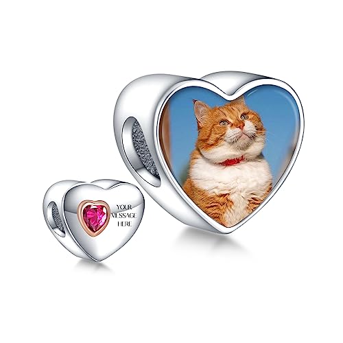 Annmors 925 Sterling Silber Charm Personalisierte Foto Anhänger fit Armband Halskette Maßgeschneiderte Herzform Heart Bild Perle Frauen Mädchen Katzen Hunde Baby Familie von Annmors