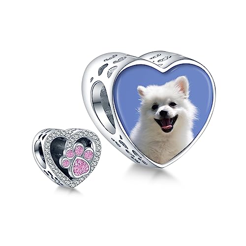 Annmors 925 Sterling Silber Charm Personalisierte Foto Anhänger fit Armband Halskette Maßgeschneiderte Herzform Mom Dog Paw Heart Bild Perle Frauen Mädchen Katzen Hunde Baby Familie von Annmors