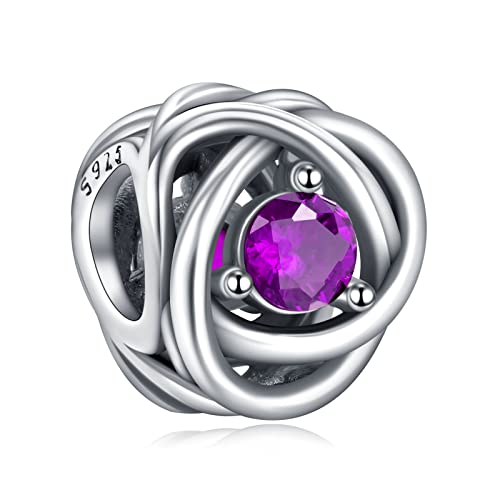 Annmors Jewelry Charme February Purple Eternity Circle Anhänger S925 Sterling Silber Bracelet Bead with Cubic Zirconioa für Europäische Armbänder Halskette,Schmuck Geschenk für Damen Herren von Annmors