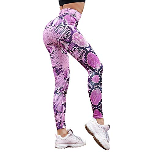 Ansenesna Leggings Damen Sport Schlangenmuster High Waist Hose Jogger Fitness Stretch Skinny Elegant Jogginghose Frauen Gummibund Gummizug Yoga Hosen Elastischer Bund Sporthose Ansenesna Leggings Damen Sport Schlangenmuster High Waist Hose Jogger Fitness Stretch Skinny Elegant Jogginghose Frauen Gummibund Gummizug Yoga Hosen Elastischer Bund Sporthose von Ansenesna