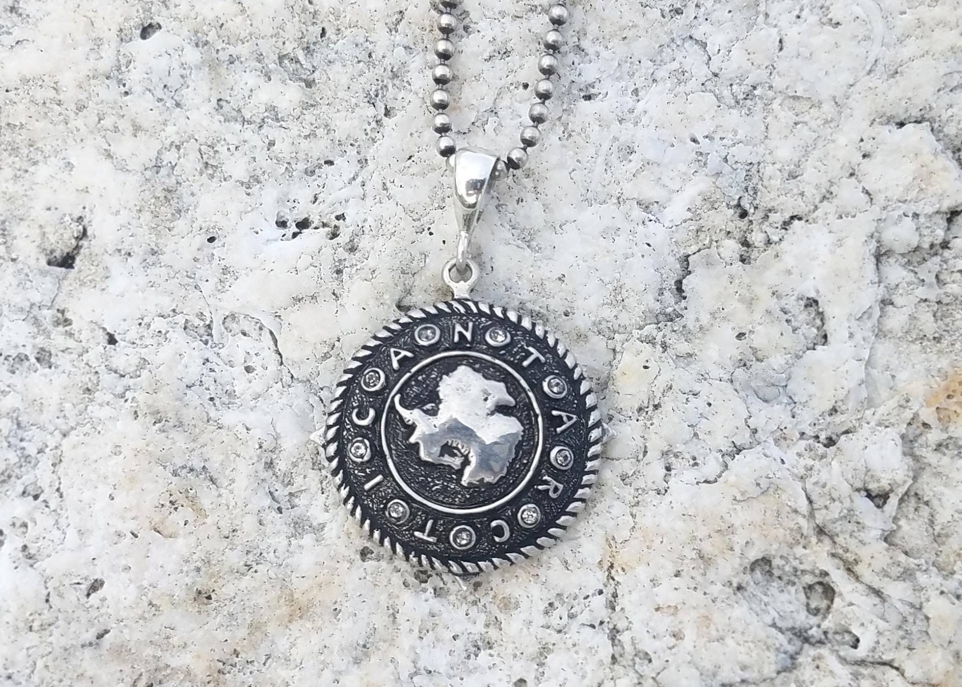 Antarktis Silber Anhänger Mit Kristallen - Einzigartige Südpol Kontinent Halskette Für Abenteuerlustige Antarktis Silber Anhänger Mit Kristallen - Einzigartige Südpol Kontinent Halskette Für Abenteuerlustige von AntarcticaJewellery
