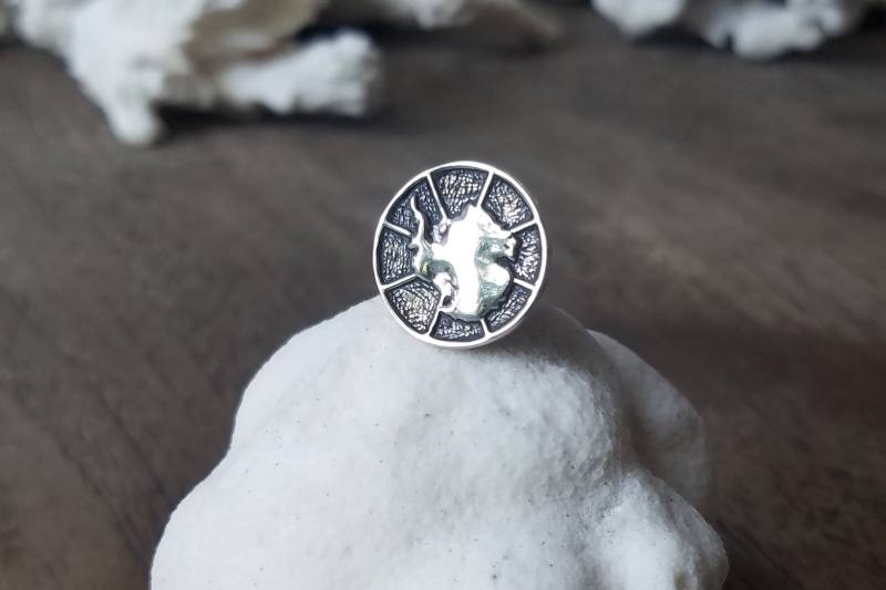 Antarktis Silber Pin Südpol Schmuck Für Entdecker, Abenteurer & Geographie Enthusiasten Antarktis Silber Pin Südpol Schmuck Für Entdecker, Abenteurer & Geographie Enthusiasten von AntarcticaJewellery