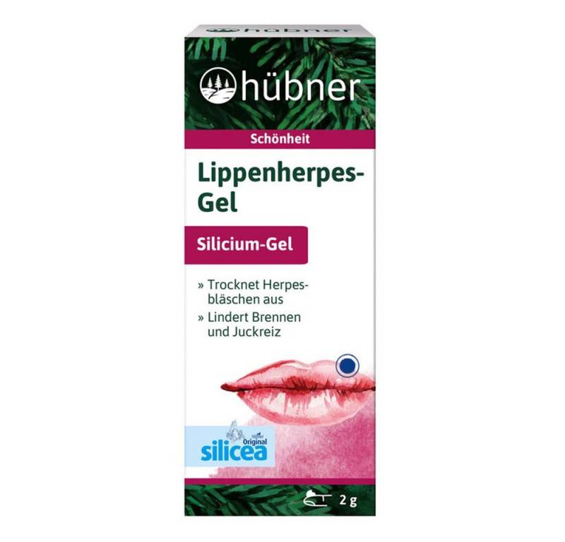 Anton Hübner Lippenpflegestift Lippenherpes Gel - Silicium-Gel 2g von Anton Hübner