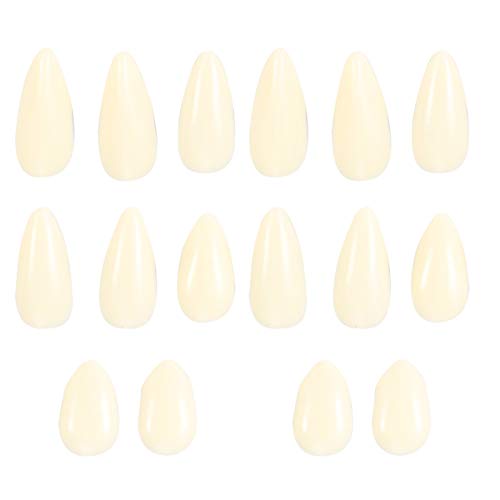 Aoaoy 13 Mm, 15 Mm, 17 Mm, 19 Mm Zahnprothesen mit Kompositharz, nicht- und, für Halloween-Reißzahn-Dekoration von Aoaoy