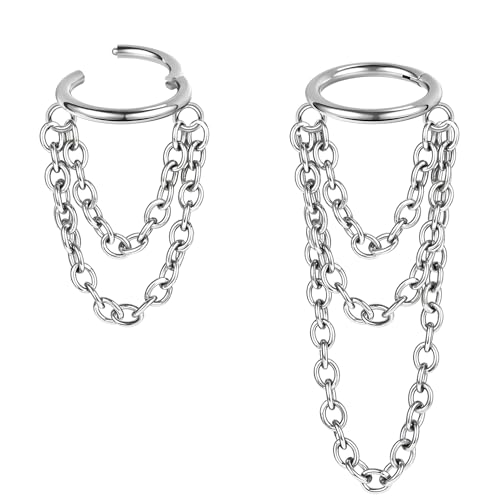 AoedeJ 2 Pcs Helix Hoop Earrings Small Hoop Earrings for Women Cartilage Hoop Earrings Helix Ring Ear Ring Cartilage Earrings for Women (Silver)… von AoedeJ