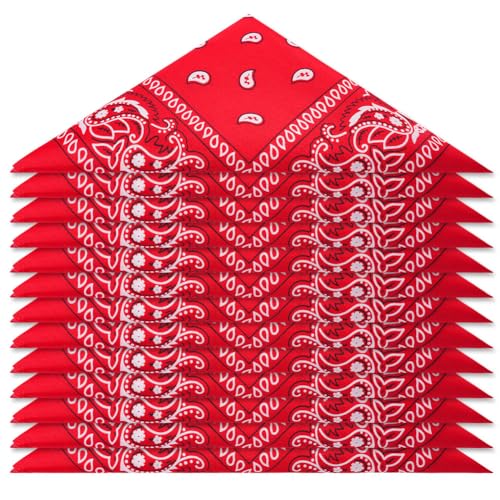 Aomig Bandana Damen Herren,12pcs Nickitücher Kopftuch Halstuch Männer, Unisex Tuch Bindetuch, Headwear Haar Schal Paisley Muster - Taschentuch/Halstuch, Rot (55 x 55 cm) von Aomig