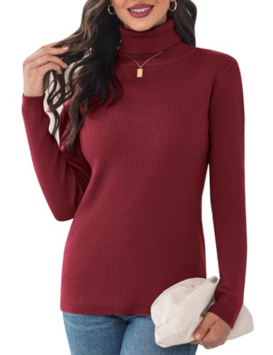 Aottori Damen Elegant Rollkragen Pullover Slim Fit Langarm Strickwaren Rollkragenpullover Einfarbig Strickpullover für Winter Ribbed Strick Pullover Tops Weinrot L von Aottori
