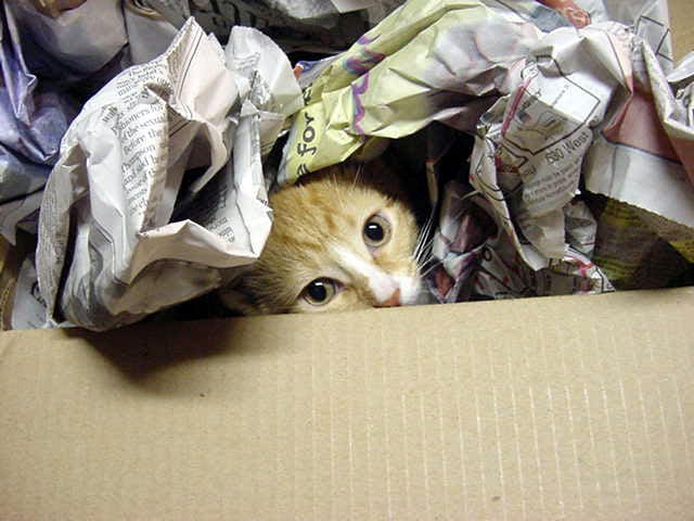 Adressänderung Nur 0 Versand von ApacheMoon