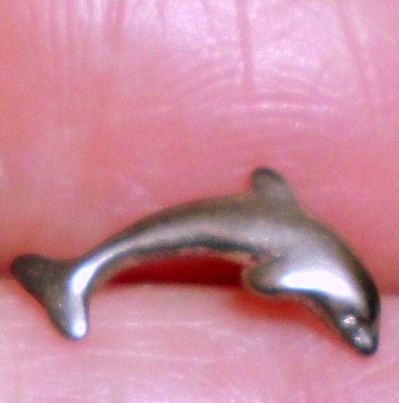 Minimalist Ohrringe Tiny Silber Ohrstecker Delphin Solide .925 Sterling Silber-Vintage Wildtiere/Tierfund -Usa Versandfertig 1 Tag Minimalist Ohrringe Tiny Silber Ohrstecker Delphin Solide .925 Sterling Silber-Vintage Wildtiere/Tierfund -Usa Versandfertig 1 Tag von ApacheMoon