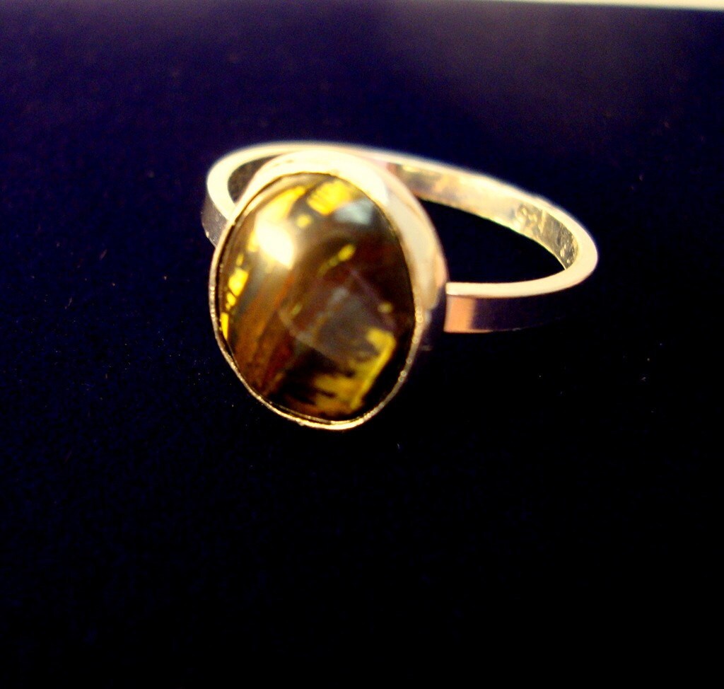 Ring - Ovaler 12 X 10 Mm Ironwood Stein in Silberring Mit Abgeflachter Ringschiene Maßgefertigt Ihrer Größe Echter Versteinerter Ring - Ovaler 12 X 10 Mm Ironwood Stein in Silberring Mit Abgeflachter Ringschiene Maßgefertigt Ihrer Größe Echter Versteinerter von ApacheMoon