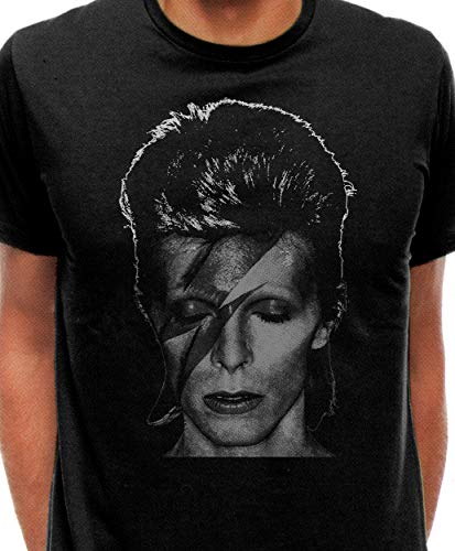 David Bowie Aladdin/T-Shirt/Herren Men/SCHWARZ Black (L) von ApeWear