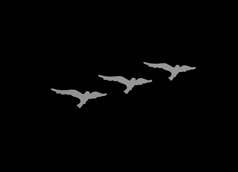 3x Vogel Raubvogel Reflektierende Aufbügler Applikation Bügelbilder Leuchten Sicherheit Bügelbild Hot Applikationen Fluoreszierend Bussard 3x Vogel Raubvogel Reflektierende Aufbügler Applikation Bügelbilder Leuchten Sicherheit Bügelbild Hot Applikationen Fluoreszierend Bussard von ApfelblueteShopDE