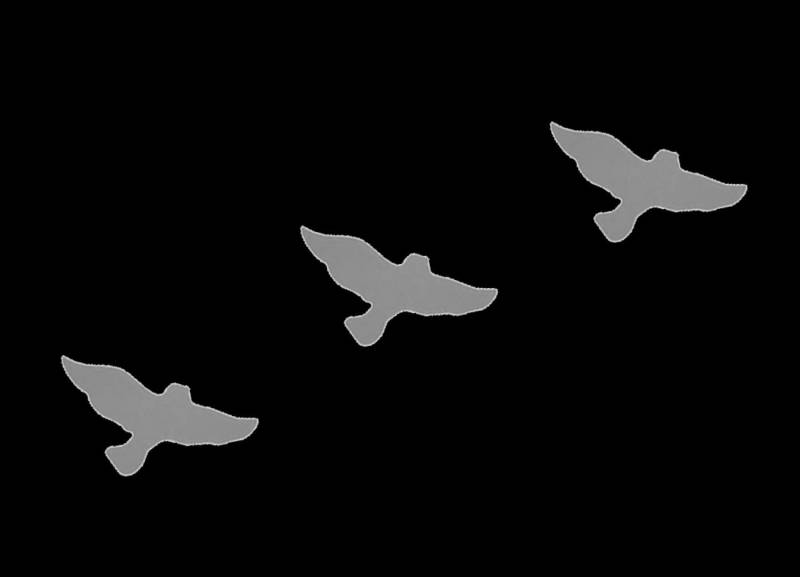3x Vogel Raubvogel Reflektierende Aufbügler Applikation Bügelbilder Leuchten Sicherheit Bügelbild Hot Applikationen Fluoreszierend Bussard 3x Vogel Raubvogel Reflektierende Aufbügler Applikation Bügelbilder Leuchten Sicherheit Bügelbild Hot Applikationen Fluoreszierend Bussard von ApfelblueteShopDE