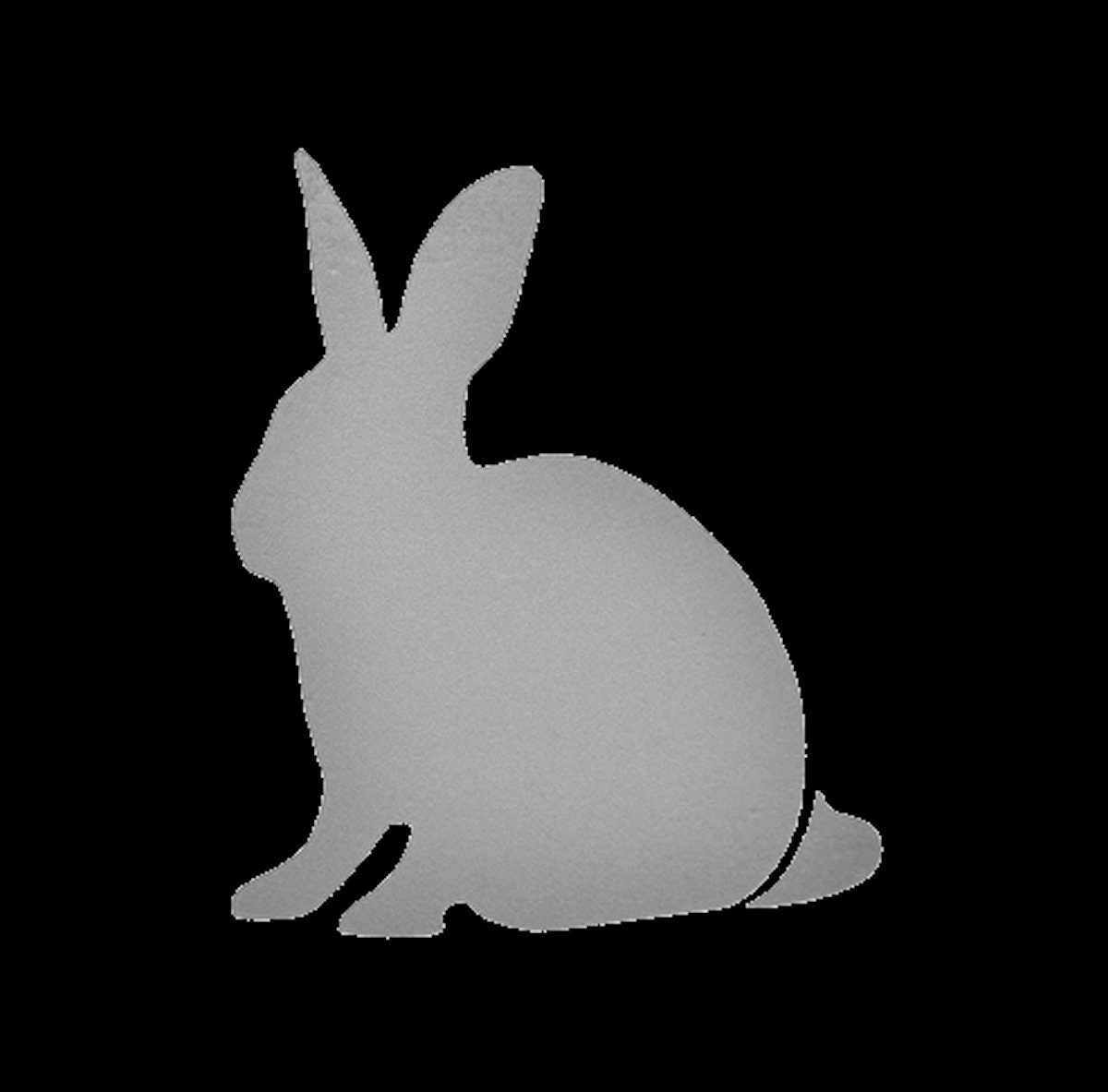 Hase Kaninchen Aufbügler Reflektierend Applikation Bügelbilder Leuchten Sicherheit Bügelbild Hotfix Applikationen Tier Kinder Fluoreszierend Hase Kaninchen Aufbügler Reflektierend Applikation Bügelbilder Leuchten Sicherheit Bügelbild Hotfix Applikationen Tier Kinder Fluoreszierend von ApfelblueteShopDE