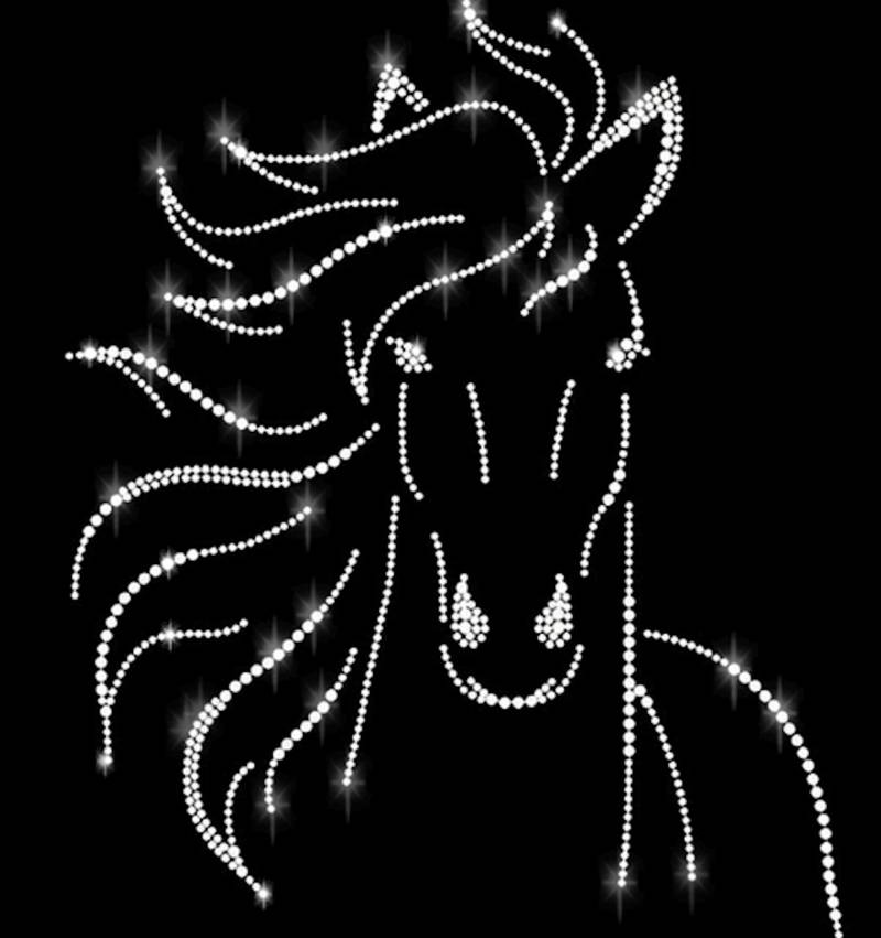 Strass Applikation Pferd Fohlen Bügelbild Hot Fix Applikationen Strasssteine Rhinestone Filly Pferde Hengst Stute Reiten Voltigieren von ApfelblueteShopDE