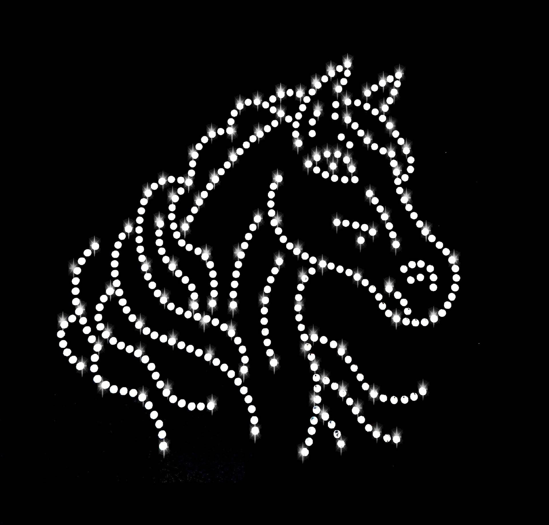 Strass Applikation Pferd Fohlen Bügelbild Hot Fix Applikationen Strasssteine Rhinestone Filly Pferde Hengst Stute Reiten Voltigieren von ApfelblueteShopDE
