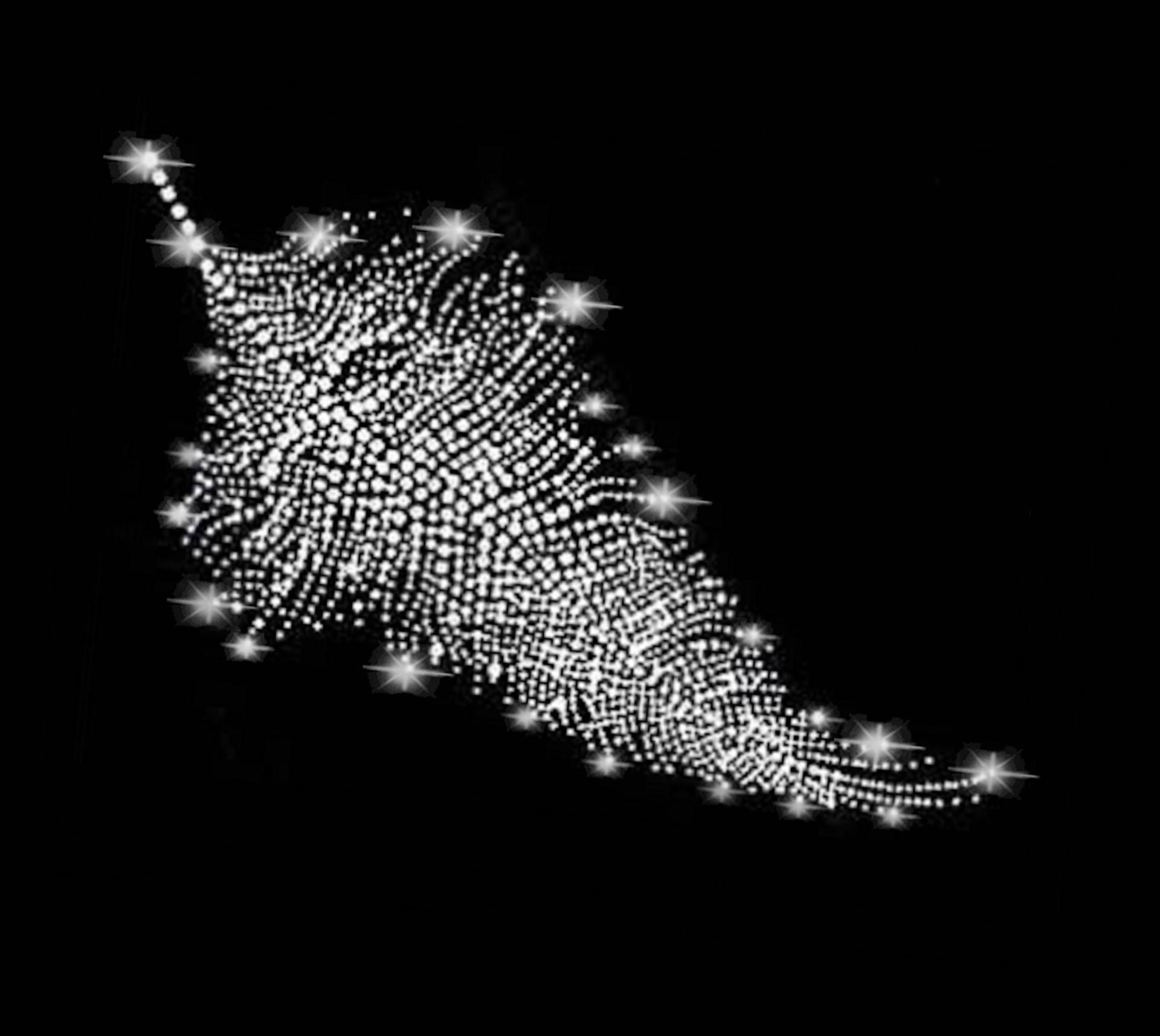 xl Strass Applikation Feder Ornament Bügelbild Hot Fix Applikationen Strasssteine Rhinestone Necklace Neckline Ausschnitt Feather Vogel Bird xl Strass Applikation Feder Ornament Bügelbild Hot Fix Applikationen Strasssteine Rhinestone Necklace Neckline Ausschnitt Feather Vogel Bird von ApfelblueteShopDE
