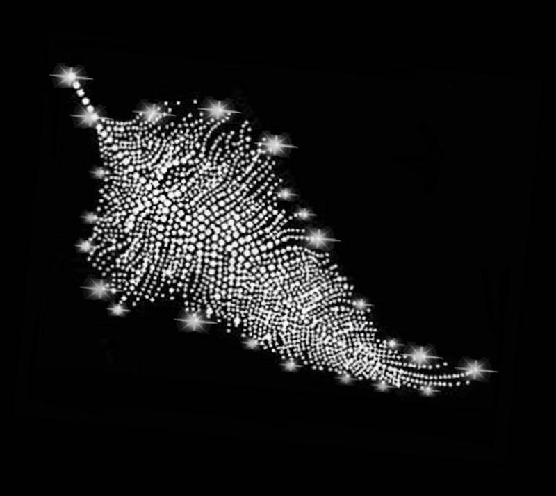 xl Strass Applikation Feder Ornament Bügelbild Hot Fix Applikationen Strasssteine Rhinestone Necklace Neckline Ausschnitt Feather Vogel Bird xl Strass Applikation Feder Ornament Bügelbild Hot Fix Applikationen Strasssteine Rhinestone Necklace Neckline Ausschnitt Feather Vogel Bird von ApfelblueteShopDE