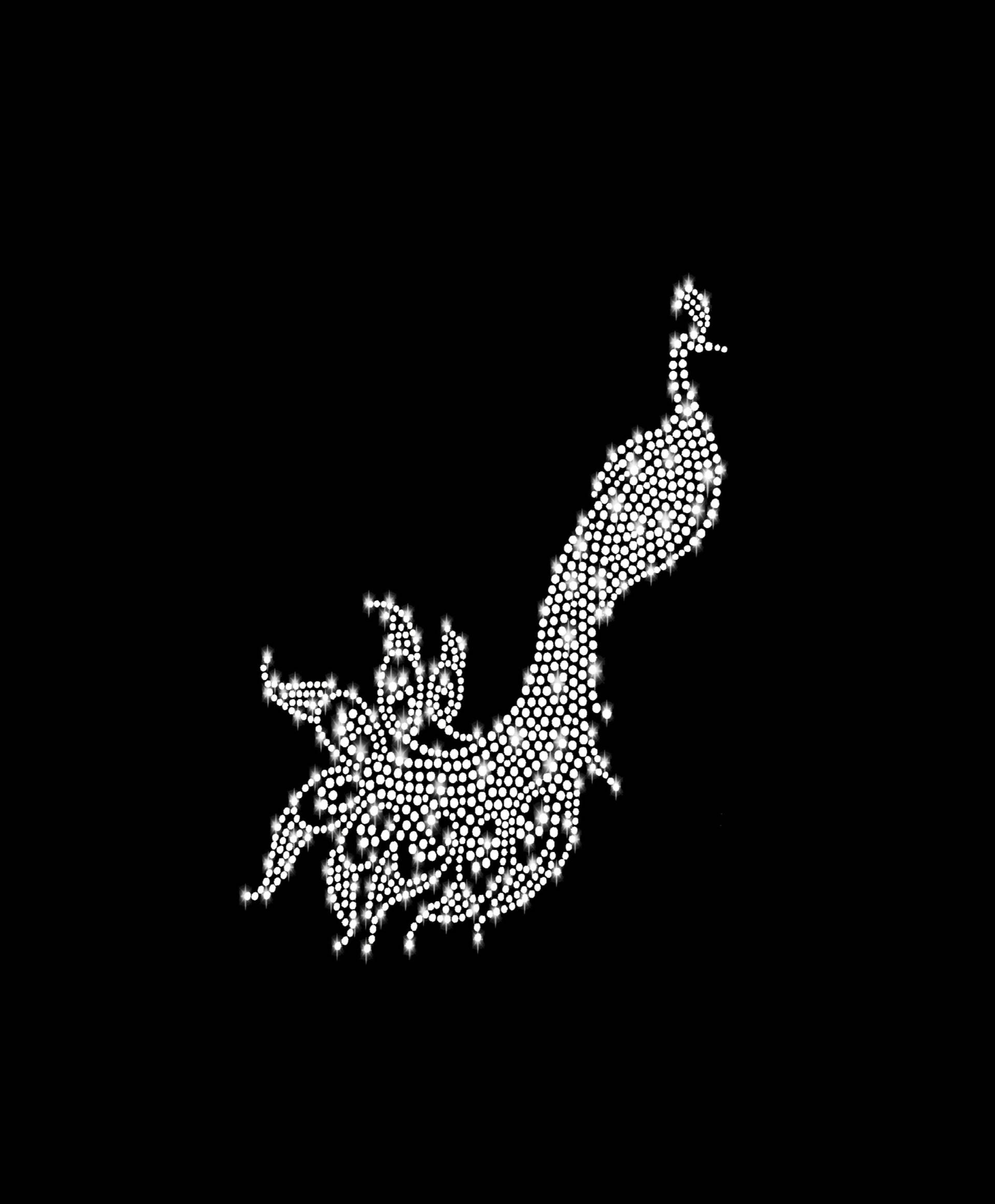 xl Strass Applikation Vogel Pfau Phönix Feder Ornament Bügelbild Hot Fix Applikationen Strasssteine Rhinestone Bird Phoenix Peacock Federn von ApfelblueteShopDE