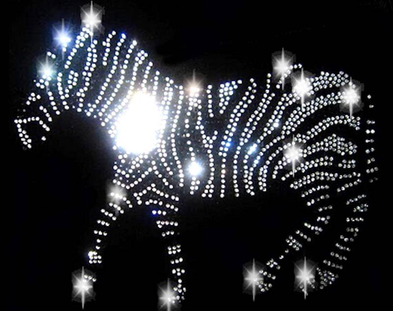 xl Strasssteine Strass Applikation Zebra 24x18 Pferd Fohlen Bügelbild Hot Fix Applikationen Rhinestone Afrika Urlaub von ApfelblueteShopDE