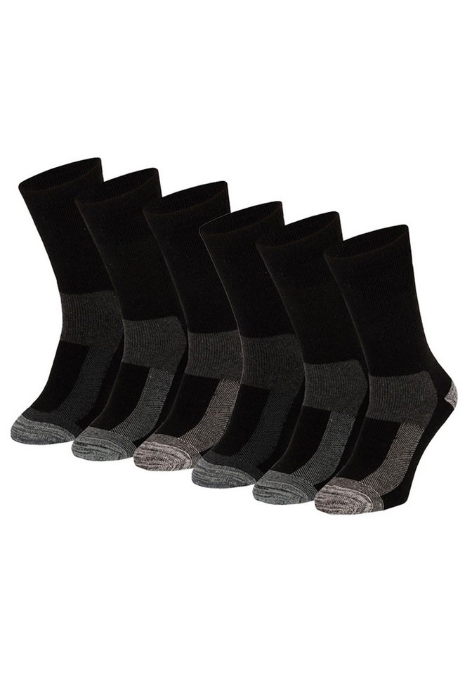 Apollo Basicsocken Uni Socks (3-Paar) Funktionelle Thermosocken von Apollo