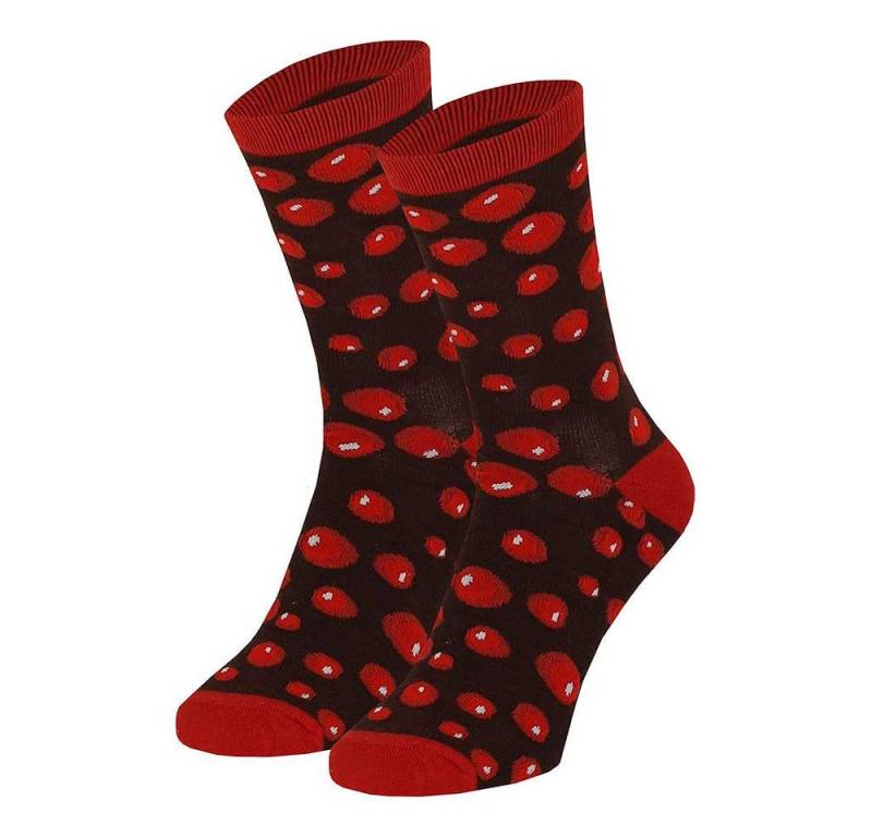 Apollo Socken witzige SOCKEN in origineller Verpackung (1-Paar) originell verpackt, Bierdose, Burgerkarton, Kaffeebecher uvm von Apollo
