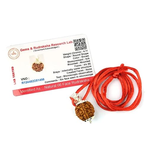 Aleafa Armlet Presents 6 Mukhi Rudraksha/Sechs Gegenüber Rudraksha Anhänger Original Rudraksha Locket (Farbe Braun) #Aport-0145 von Aport Home