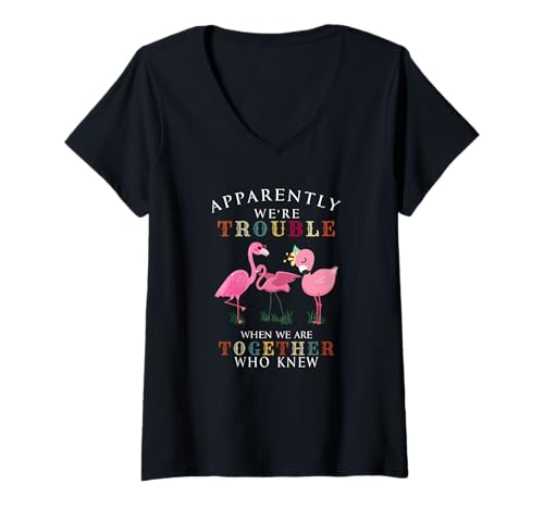 Damen Apparently We're Trouble When We Are Together Flamingo T-Shirt mit V-Ausschnitt Damen Apparently We're Trouble When We Are Together Flamingo T-Shirt mit V-Ausschnitt von Apparently We're Trouble When We Are Together