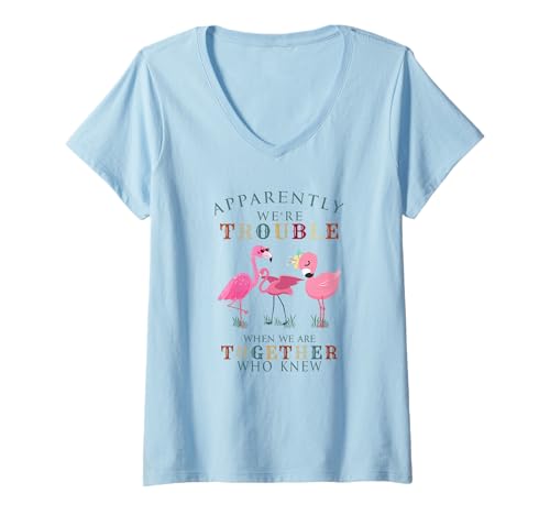 Damen Apparently We're Trouble When We Are Together Flamingo T-Shirt mit V-Ausschnitt Damen Apparently We're Trouble When We Are Together Flamingo T-Shirt mit V-Ausschnitt von Apparently We're Trouble When We Are Together