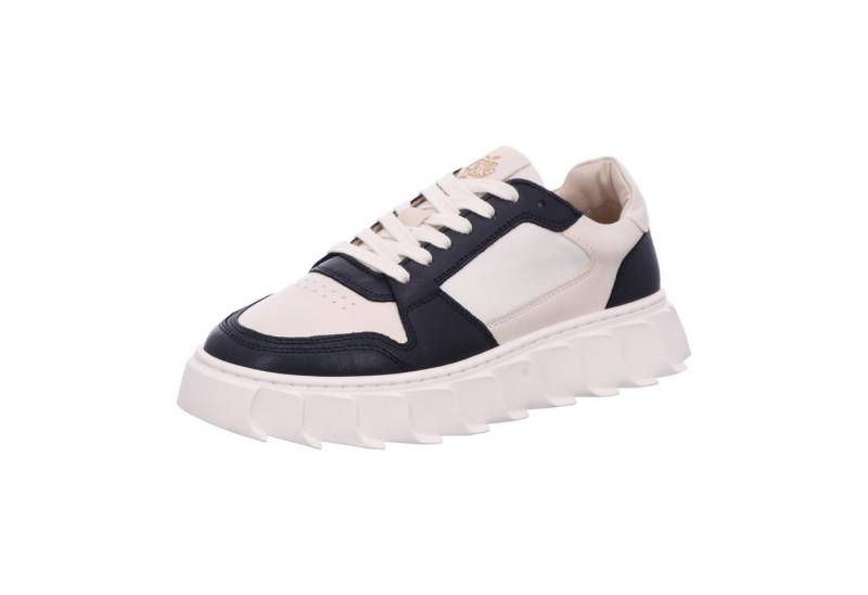 Apple of Eden AW24-LONDON 1 Schnürschuh von Apple of Eden