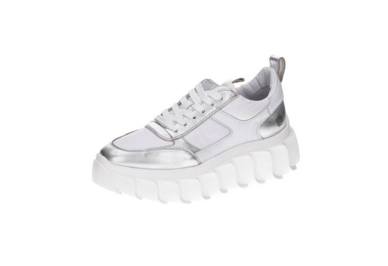 Apple of Eden BLAIR Schnürschuh von Apple of Eden