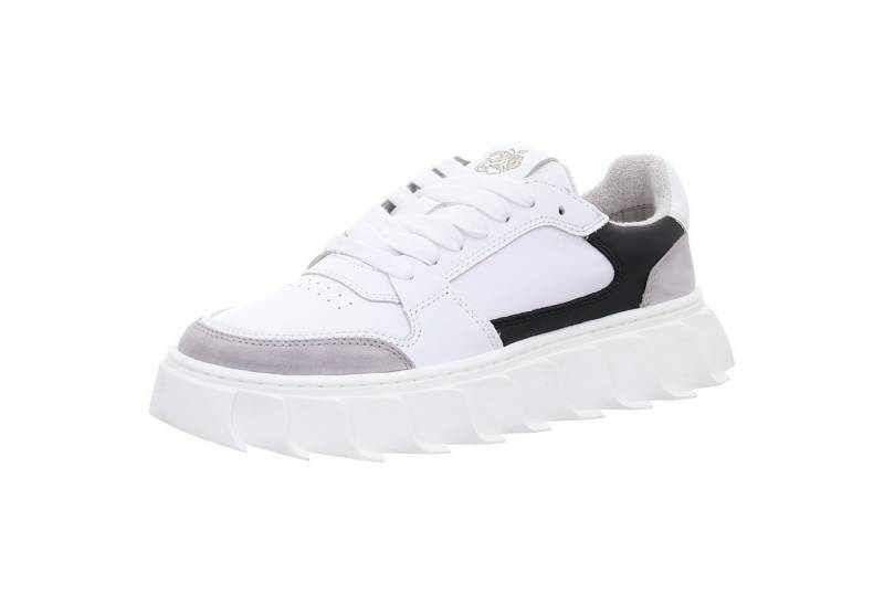 Apple of Eden Sneaker von Apple of Eden