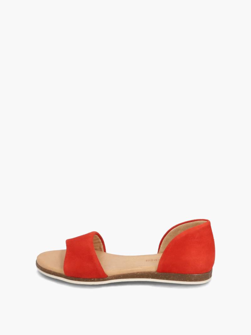 CAM von Apple of Eden