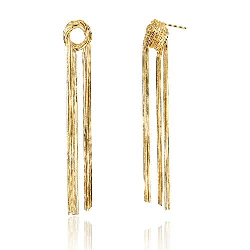 Aprilery Lange Quasten-Gold-Ohrhänger für Damen, trendige 14-Karat-vergoldete Statement-Tropfenohrringe mit Metallkette, Schmuck für Teenager-Mädchen, Geschenke für Sie (Gold Long Tassel C) von Aprilery