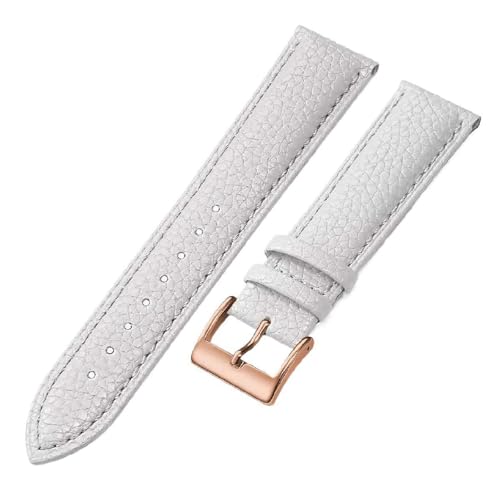 ApuaVireo&Co Uhrenarmband aus Leder, 16 mm, 18 mm, 20 mm, 22 mm, 24 mm, Uhrenarmband for Damen und Herren(Green-silver,22mm) von ApuaVireo&Co