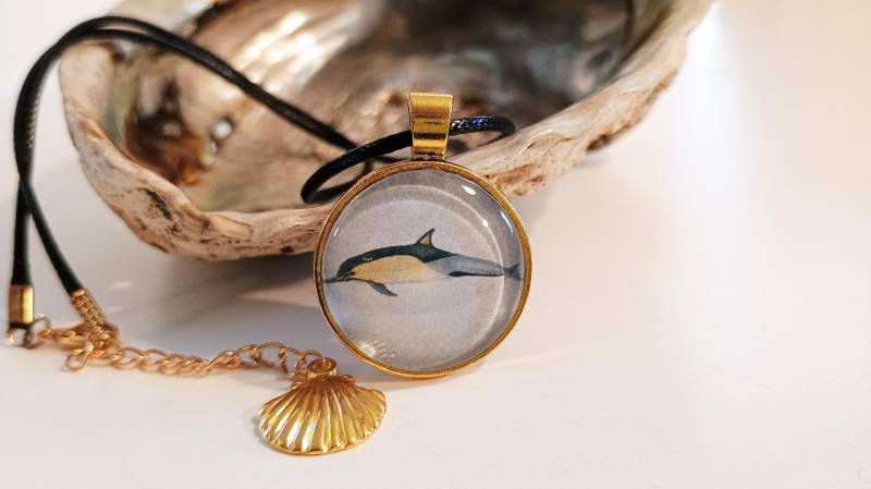Gewöhnlicher Delfin | Delphinus Delphis Im Cabochon Anhänger An Altweisser Gewachster Baumwollkette Mit Seesterncharm Der Verschlusskette von Aquakatzens