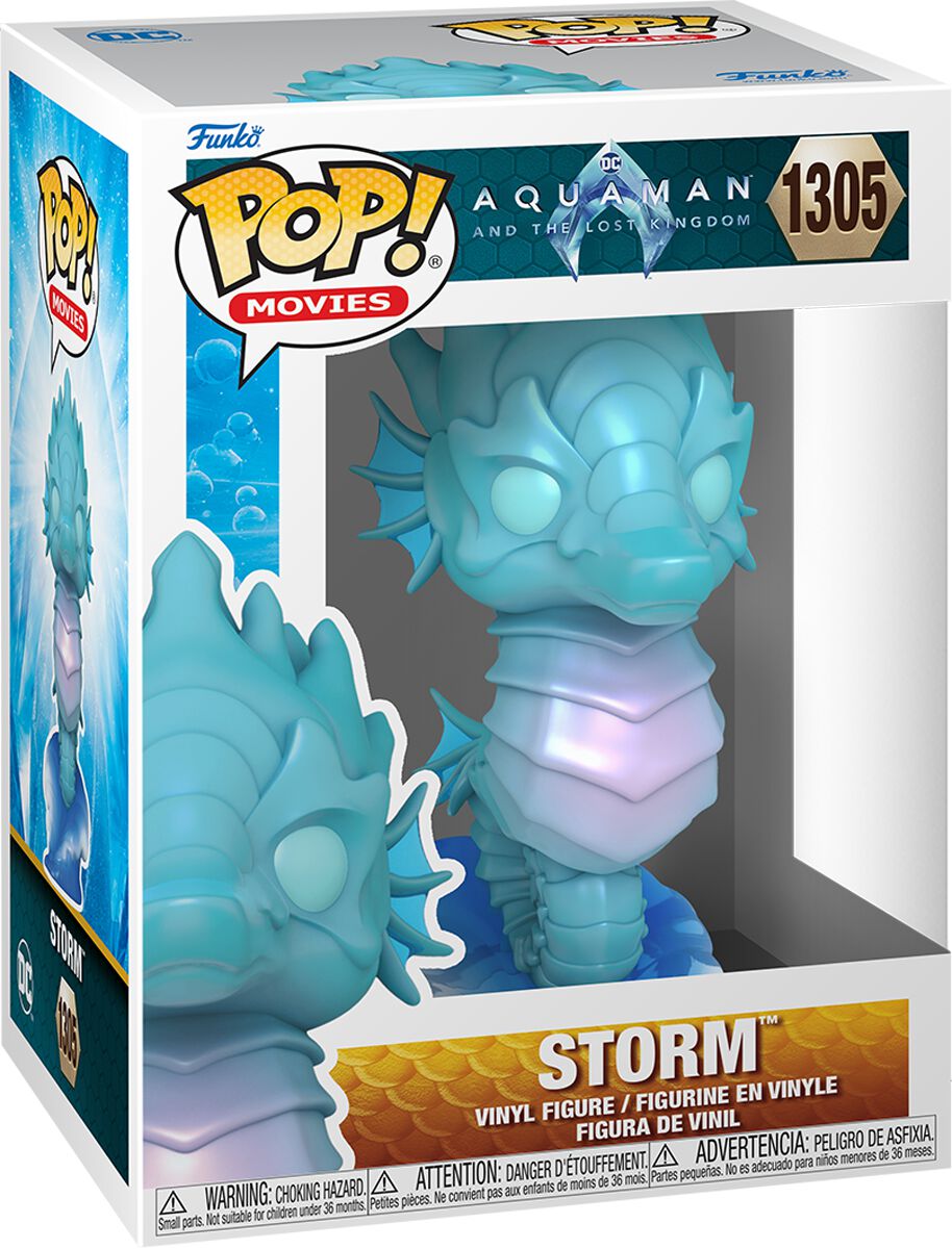 Aquaman Aquaman and the lost Kingdom - Storm Vinyl Figur 1305 Funko Pop! multicolor von Aquaman