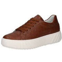 Ara Sneaker Damen braun|braun von Ara