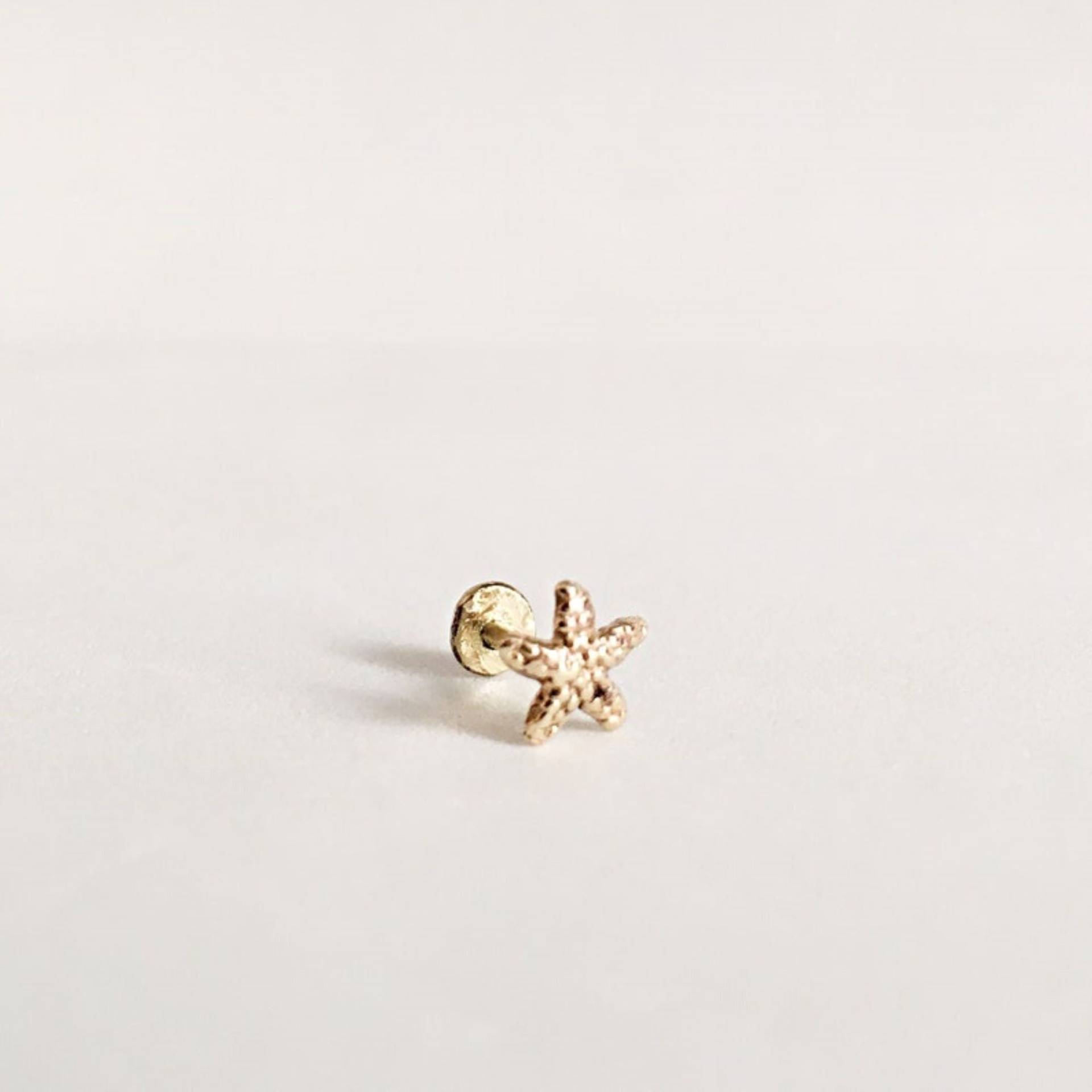 18G Labret Stud 14K Solid Gold Piercing, Minimalist Ohrring Gold, Threadless Push in Winzigen Nasenstecker, Conch Ohrstecker von AraDeOroDesigns