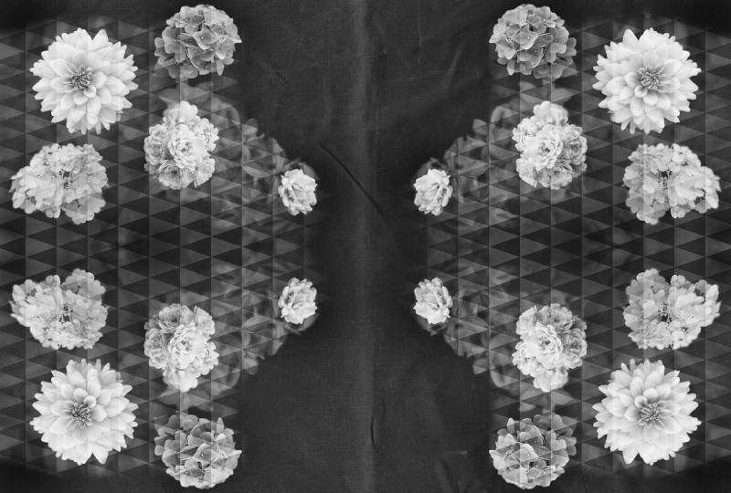 Architects Paper Fototapete "Artwork Flowers" Vlies, Wand, Schräge von Architects Paper