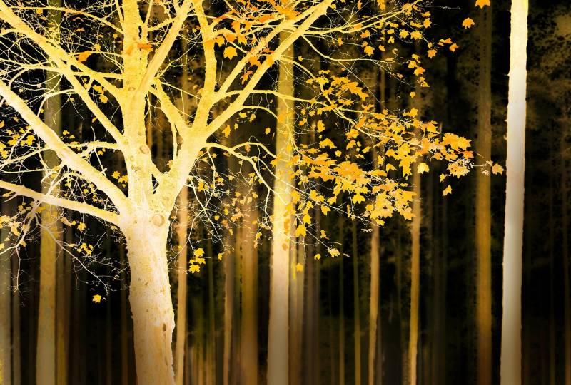 Architects Paper Fototapete "Artwork Tree" Vlies, Wand, Schräge von Architects Paper