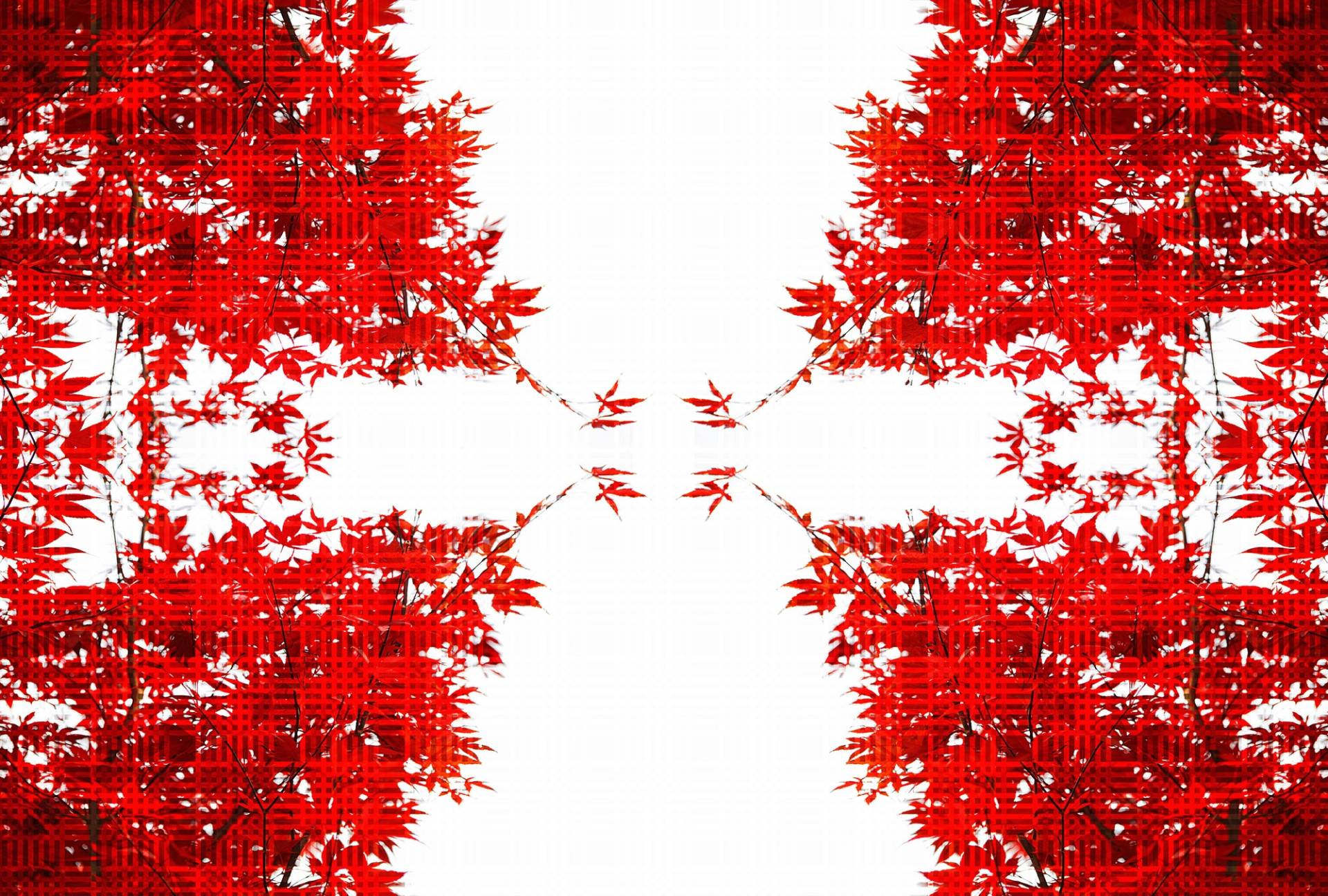 Architects Paper Fototapete "Artwork Trees" Vlies, Wand, Schräge von Architects Paper