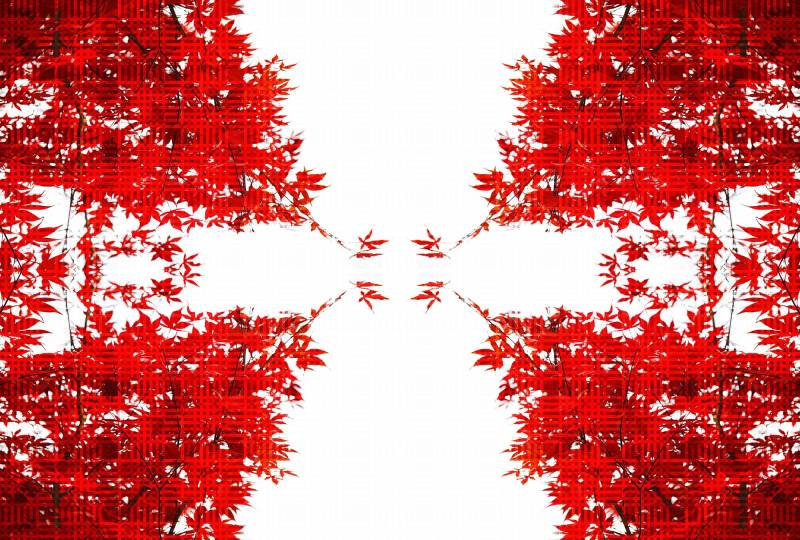 Architects Paper Fototapete "Artwork Trees" Vlies, Wand, Schräge von Architects Paper