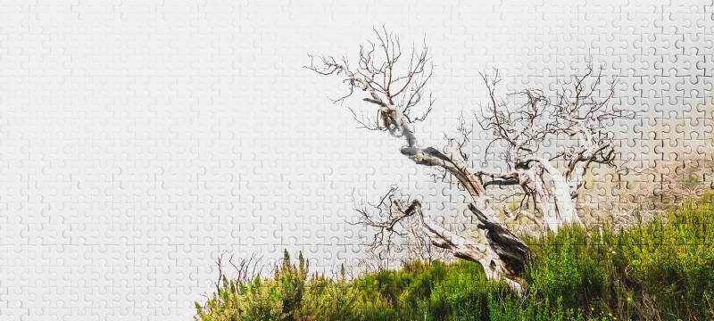 Architects Paper Fototapete "Atelier 47 Death Tree Puzzle 2" Wald glatt Vlies, Wand, Schräge, Decke von Architects Paper