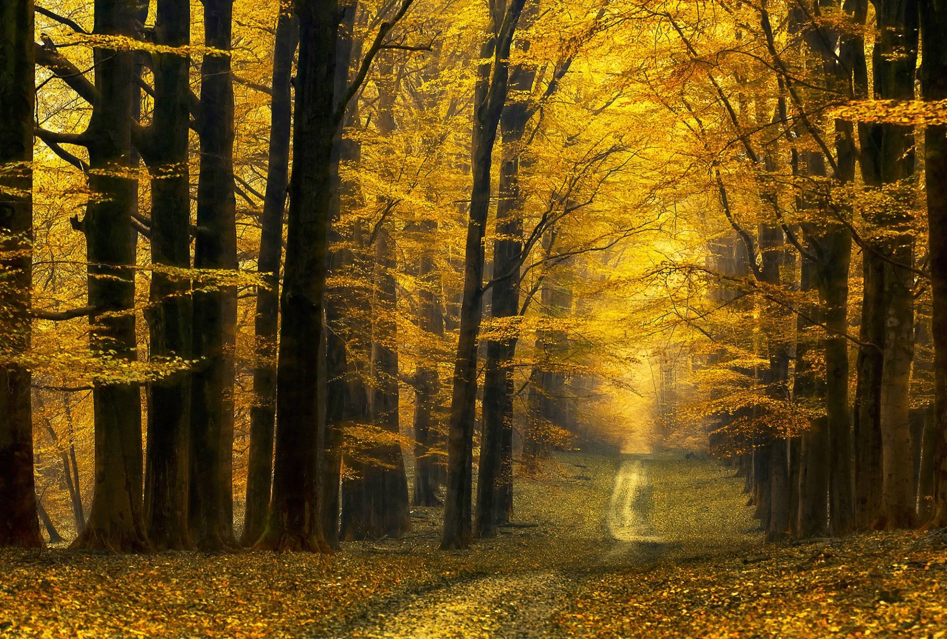 Architects Paper Fototapete "Destiny Unknown" Vlies, Wand, Schräge von Architects Paper