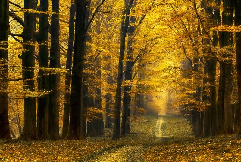 Architects Paper Fototapete "Destiny Unknown" Vlies, Wand, Schräge von Architects Paper