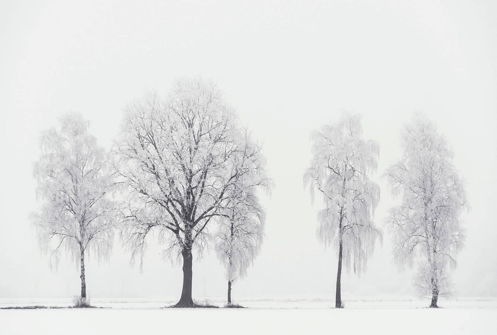 Architects Paper Fototapete "Frozen Five" Vlies, Wand, Schräge von Architects Paper