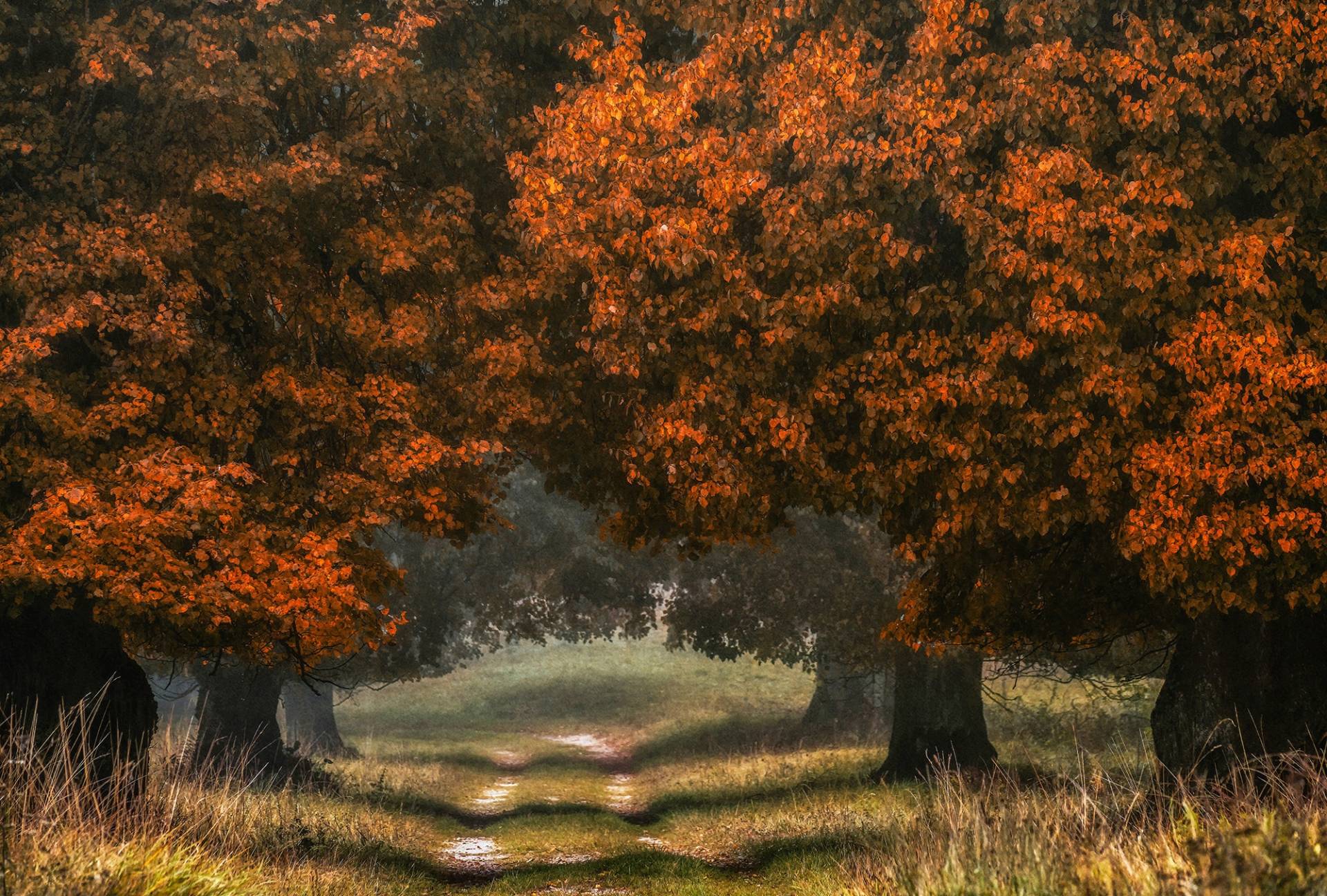 Architects Paper Fototapete "LDG" Vlies, Wand, Schräge von Architects Paper